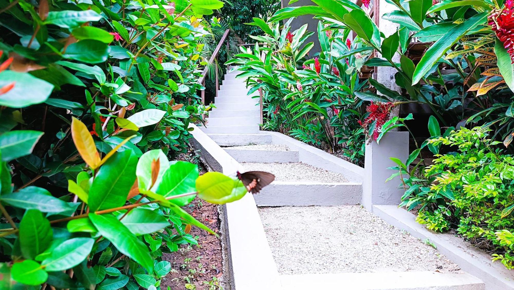 Casa Isabella Tayrona - los naranjos Exterior foto